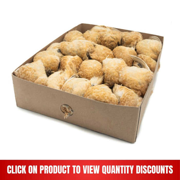 Prime Quails Heavy 6 kg