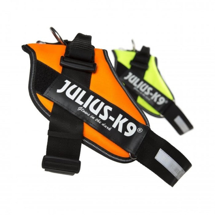 IDC High Visibility Powerharness - UV Orange / Size Mini