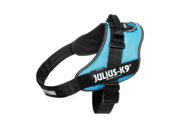 IDC Powerharness - Aquamarine / Size 4