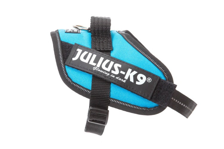 IDC Powerharness - Aquamarine / Size Mini-Mini