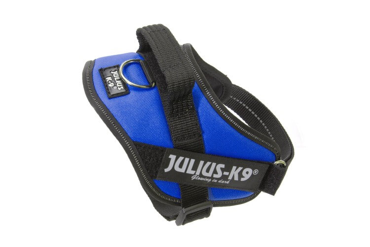 IDC Powerharness - Blue / Size Mini