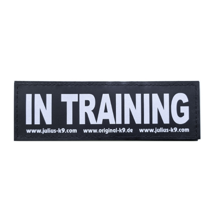 IN TRAINING PATCH - SMALL