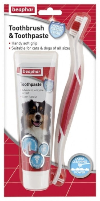 Toothbrush & Toothpaste Combipack