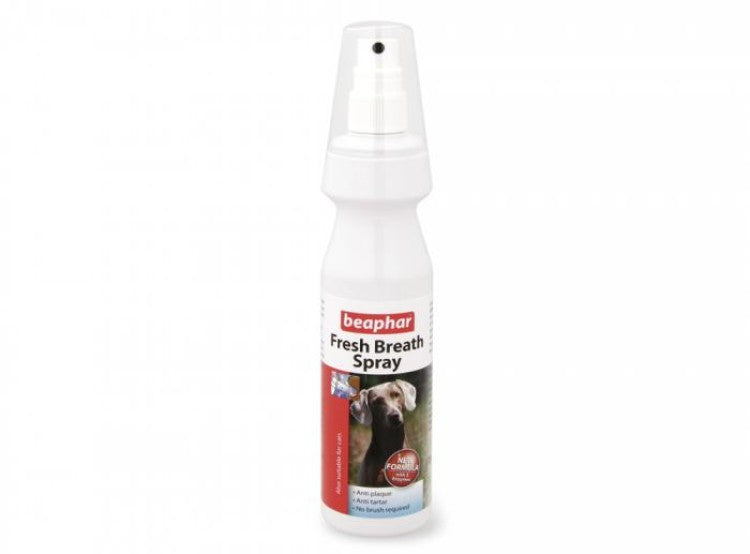 Fresh Breath Spray 150 ml