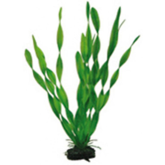 Artificial plant - Vallisneria 34 cm