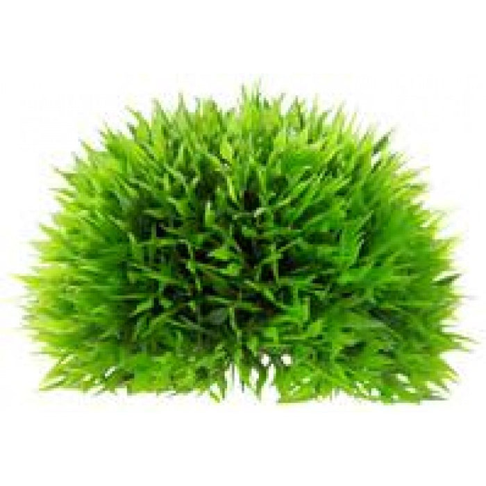 Artificial Plant - Plant Ball Medium