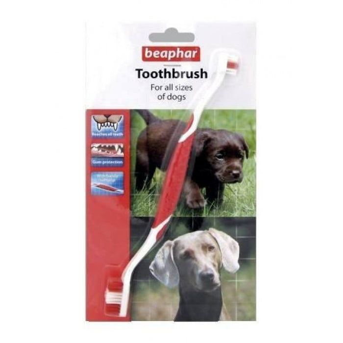 Toothbrush