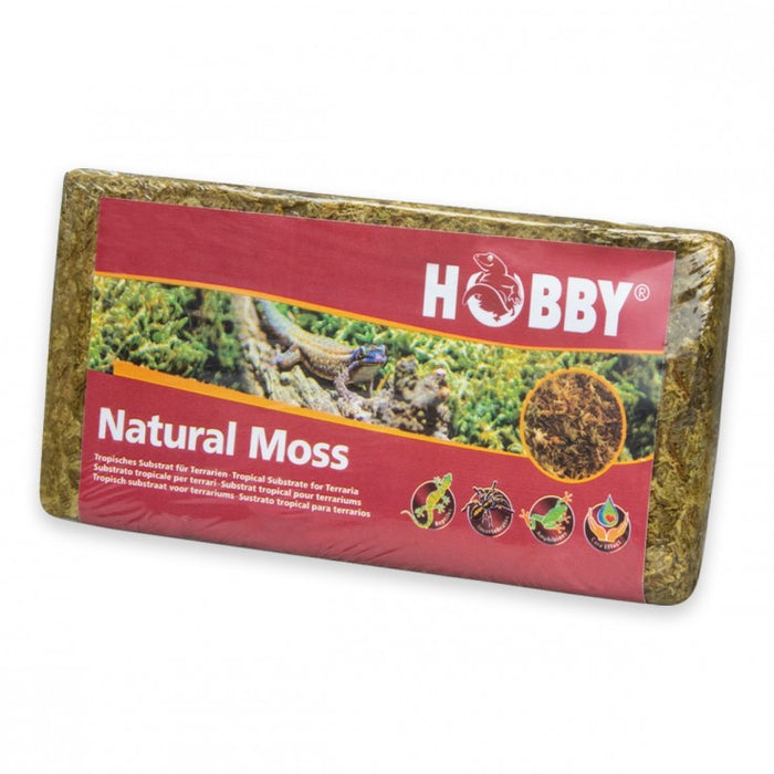 Natural Moss 100g