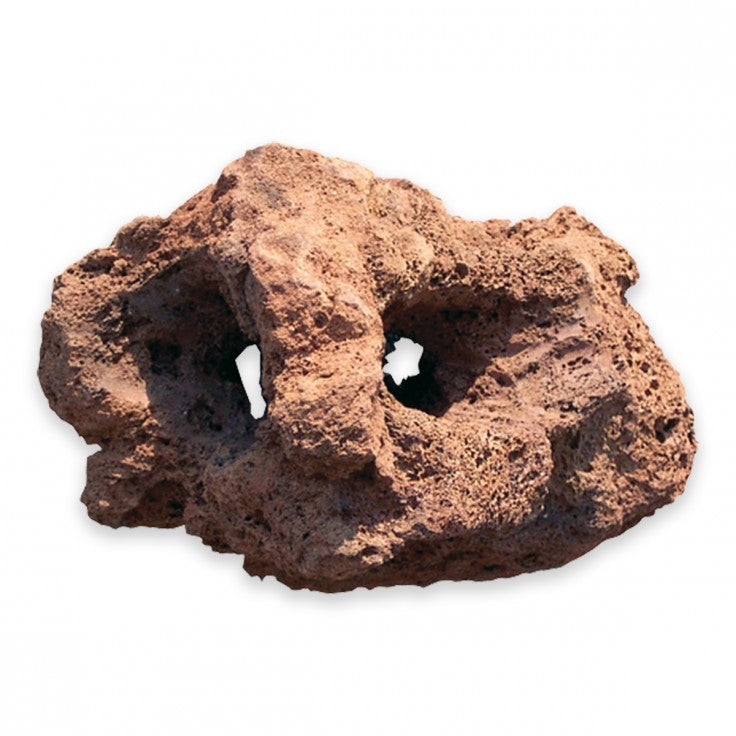 ارضيه  حوض الأسماك