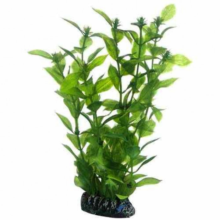 Artificial plant - Hygrophila large