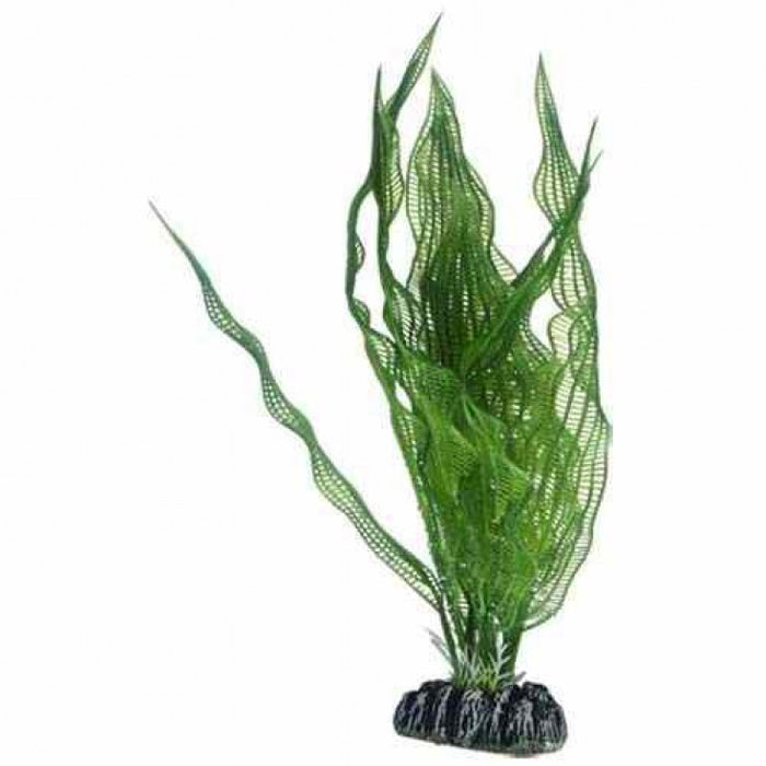 Artificial plant - Aponogeton medium