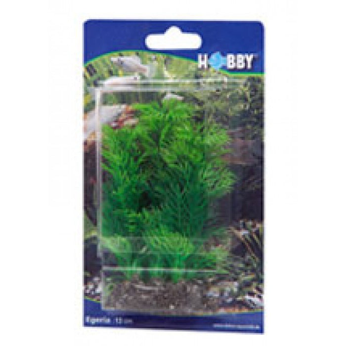 Artificial plant - Egeria 13 cm