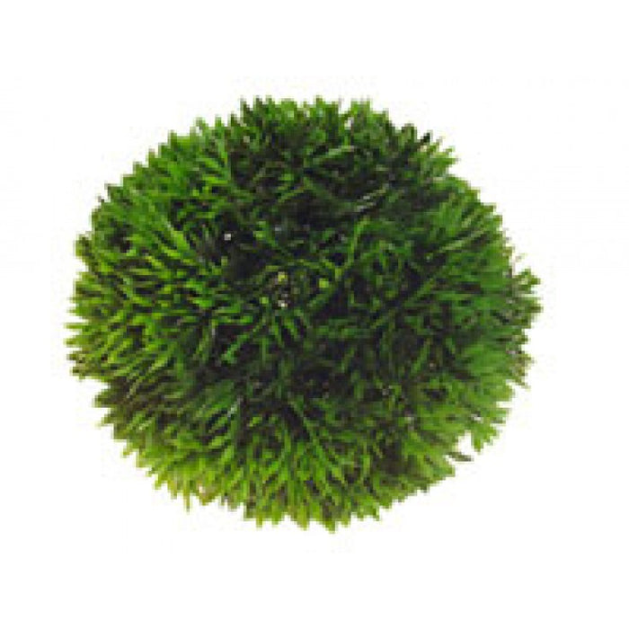 Artificial plant - Plant Ball Small