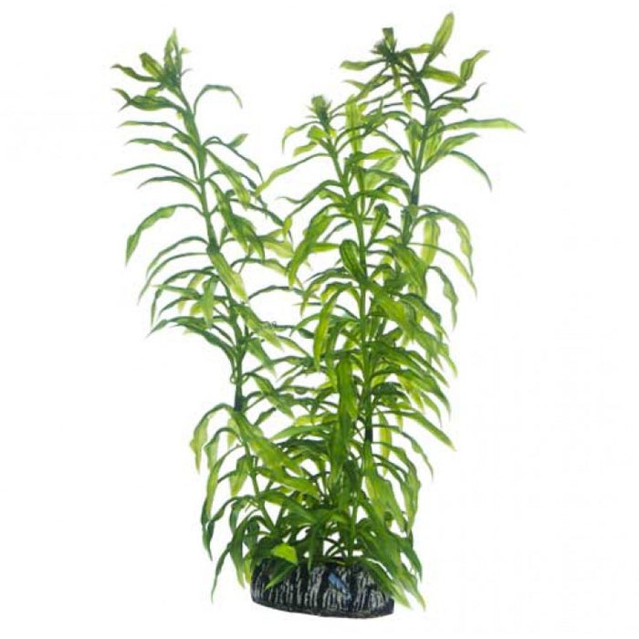 Artificial plant - Heteranthera small