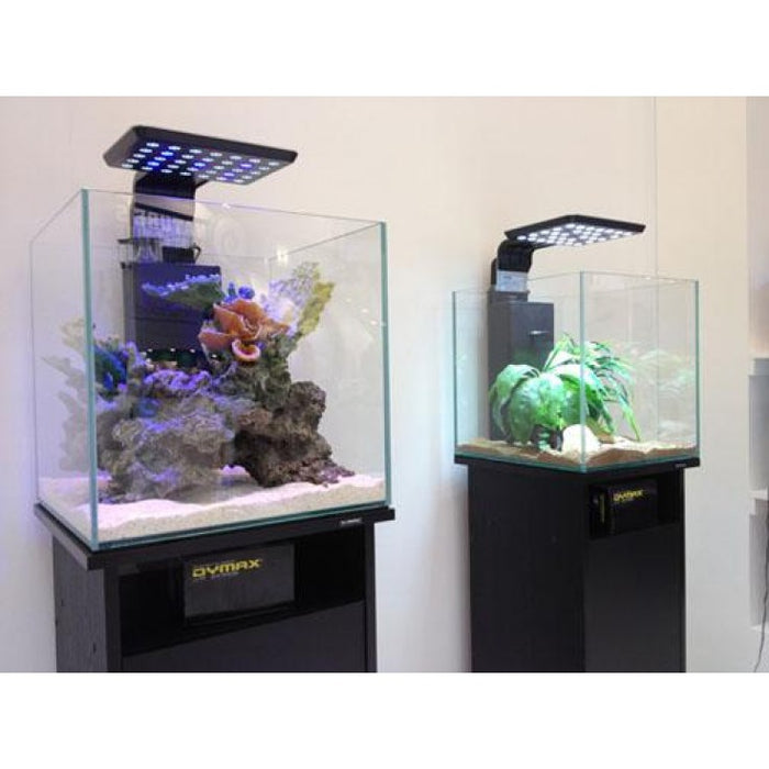 Dymax Crystal Clear Cube Tank 46 cm