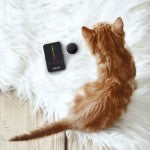 Tabcat v2 Pet Cat/Kitten Tracker – New Longer Range & Smaller Tags, More Accurate Than GPS