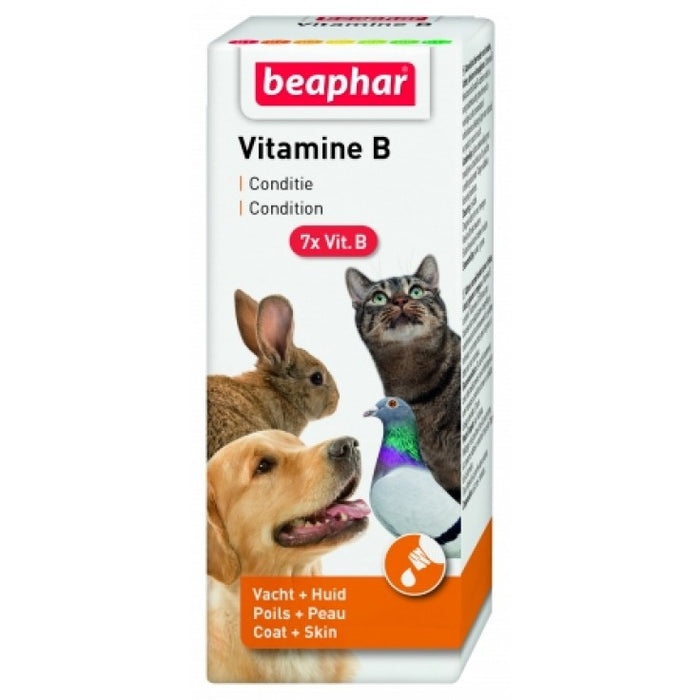 Vitamin B Complex - 50 ml