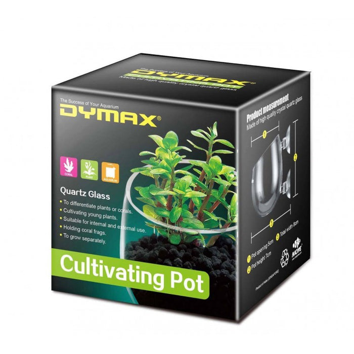 Crystal Cultivating Pot