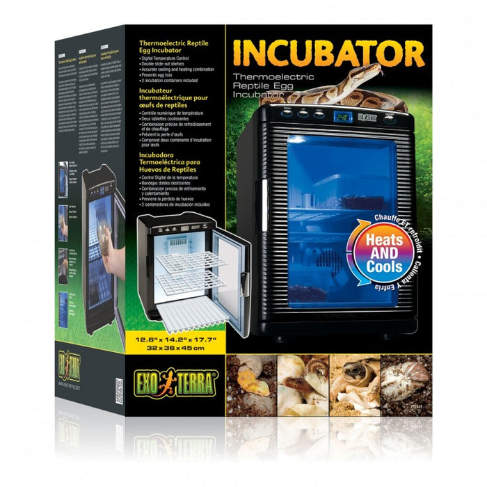 Incubator