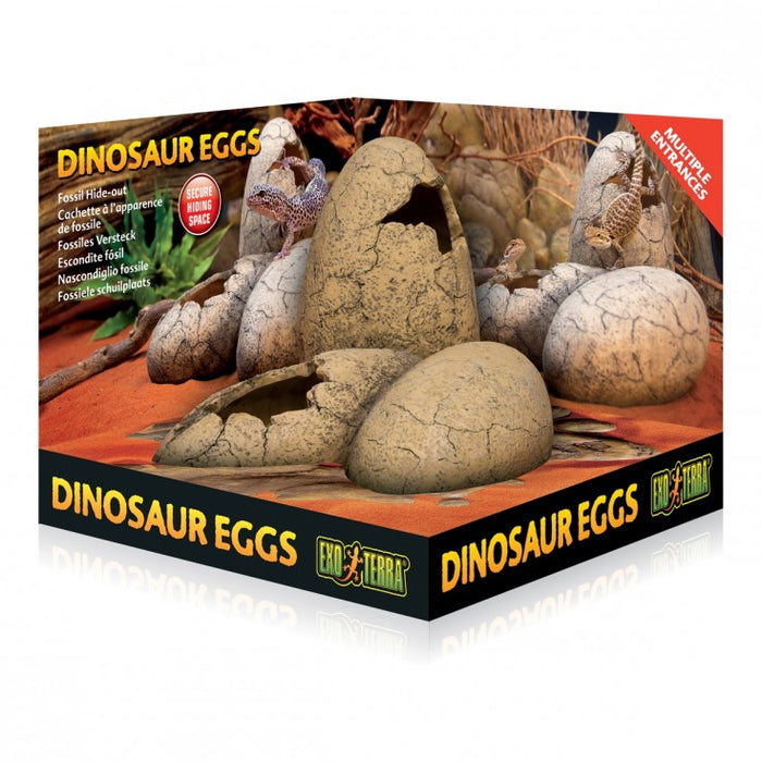 Fossil Hide - Out - Dinosaur Eggs