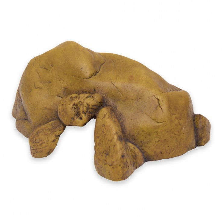 Terrarium Accessories & Decoration