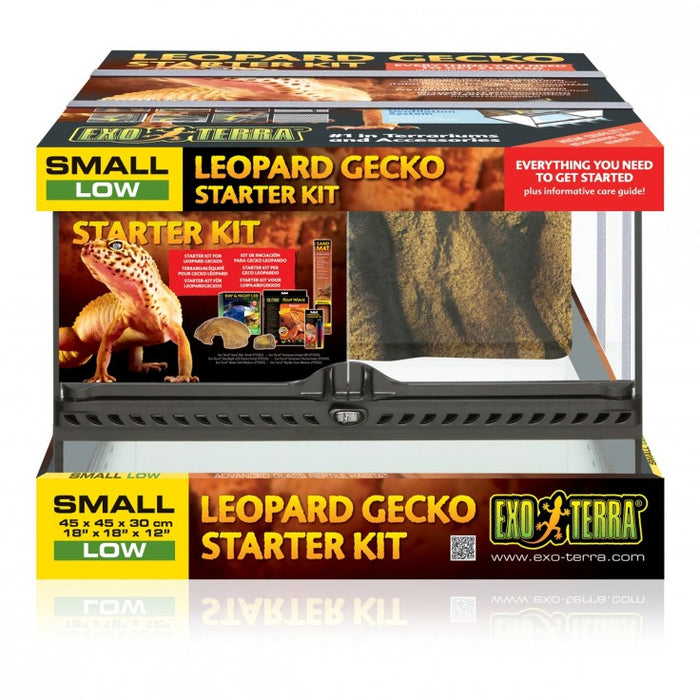 Leopard Gecko Starter Kit