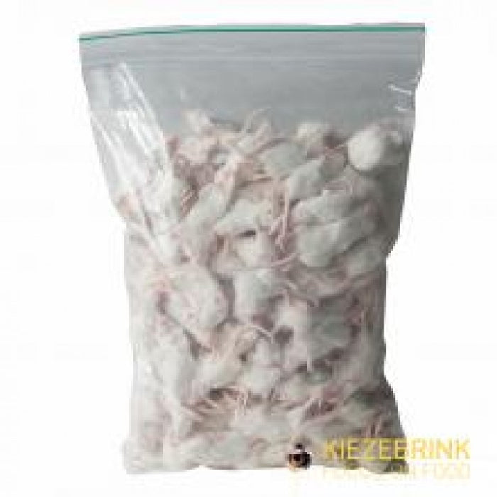 SMALL WHITE COMMERCIAL MICE 10-20G - 1KG PACK